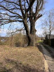 Similar image 22046859