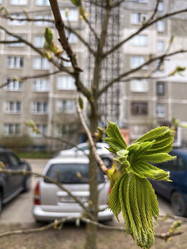 Similar image 22046864