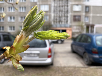 Similar image 22046867