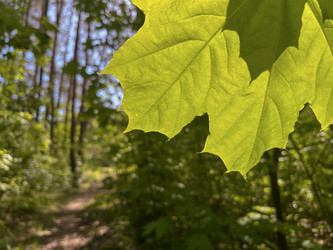 Similar image 22046871