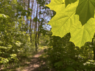 Similar image 22046872