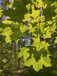 Similar image 22046745