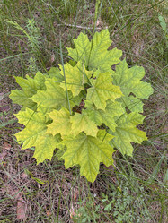 Similar image 22046746