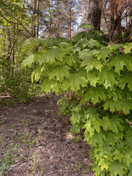 Similar image 22046749