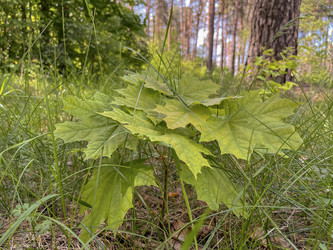 Similar image 22046750