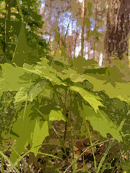 Similar image 22046754