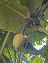 Similar image 22046757