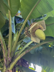 Similar image 22046768