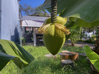 Similar image 22046876