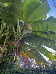 Similar image 22046877