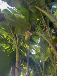 Similar image 22046879