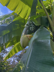 Similar image 22046880