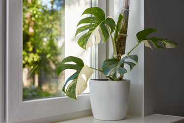 Similar image 22045045