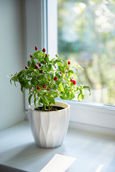 Similar image 22045046