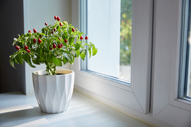 Similar image 22045052