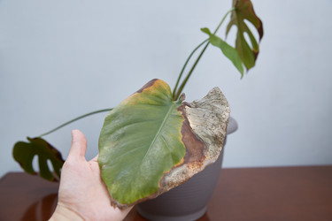 Similar image 22045058