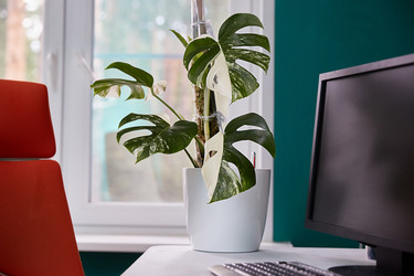 Similar image 22045064