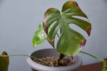 Similar image 22045065