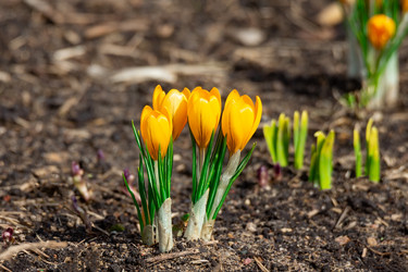 Similar image 22046061