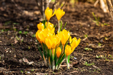 Similar image 22046067