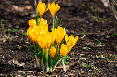 Similar image 22046069