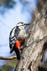 Similar image 22046085