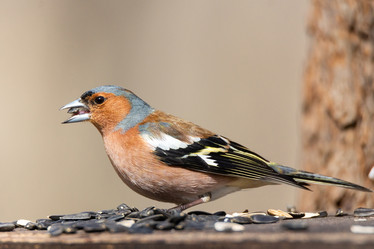 Similar image 22046313