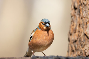 Similar image 22046315