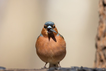 Similar image 22046317