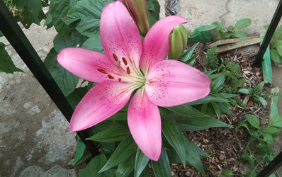 Similar image 22050376