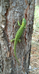 Similar image 22050377