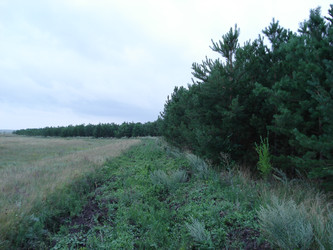 Similar image 22050382