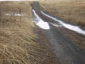 Similar image 22050385