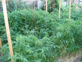 Similar image 22050389