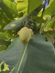 Similar image 22046883