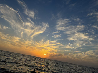 Similar image 22046885