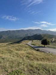 Similar image 22046892