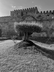 Similar image 22046896