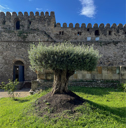 Similar image 22046899