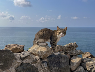 Similar image 22046901