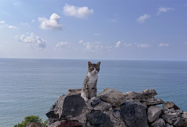 Similar image 22046906