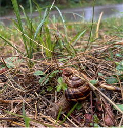 Similar image 22046908