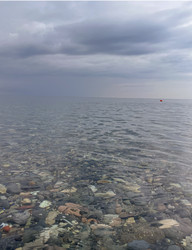 Similar image 22046912