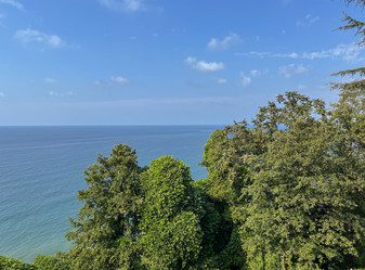 Similar image 22046927