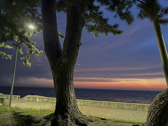 Similar image 22046929