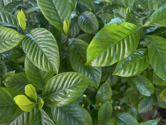 Similar image 22046932