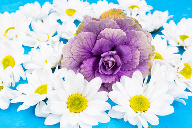 Similar image 22046092