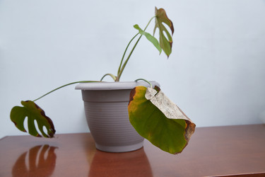 Similar image 22045067