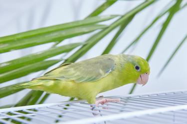 Similar image 22045068