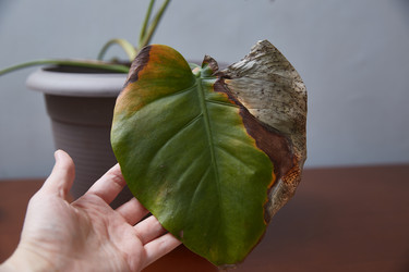 Similar image 22045075